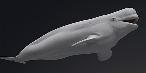 exalt3d-dauphin exalt3d-dauphin